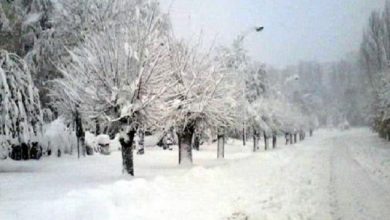 Photo of استمرار التساقطات الثلجية والمطرية القوية لغاية منتصف السبت بعدد من مناطق المملكة