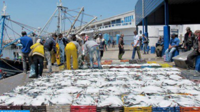 Photo of جامعة غرف الصيد البحري “تحمل” السلطات العمومية مسؤولية الزيادة في أسعار السمك