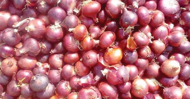 ارتفاع أسعار البصل والطماطم خلال شهر رمضان.. وزارة الفلاحة توضح أسبابه