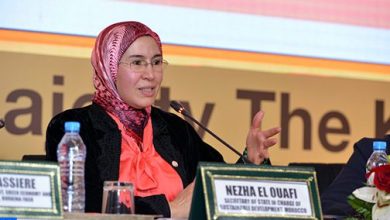 Photo of تعيين نزهة الوفي رئيسة لشبكة الوزيرات والقيادات النسائية في مجال البيئة في إفريقيا
