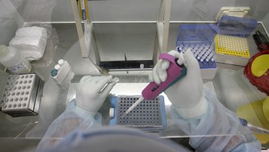 Photo of وكالة “أنسا” الإيطالية: الدواء جاهز للقضاء على فيروس كورونا