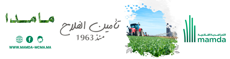 نشرة انذارية .. طقس حار يومي الخميس والجمعة المقبلين